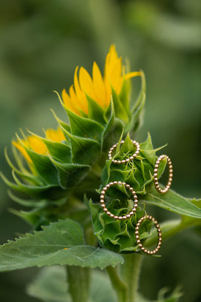 Plain Gold Beaded Band