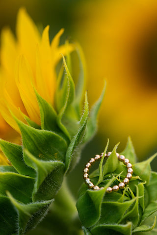 Plain Gold Beaded Band