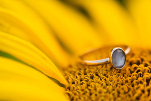 Grey Moonstone + Gold Ring